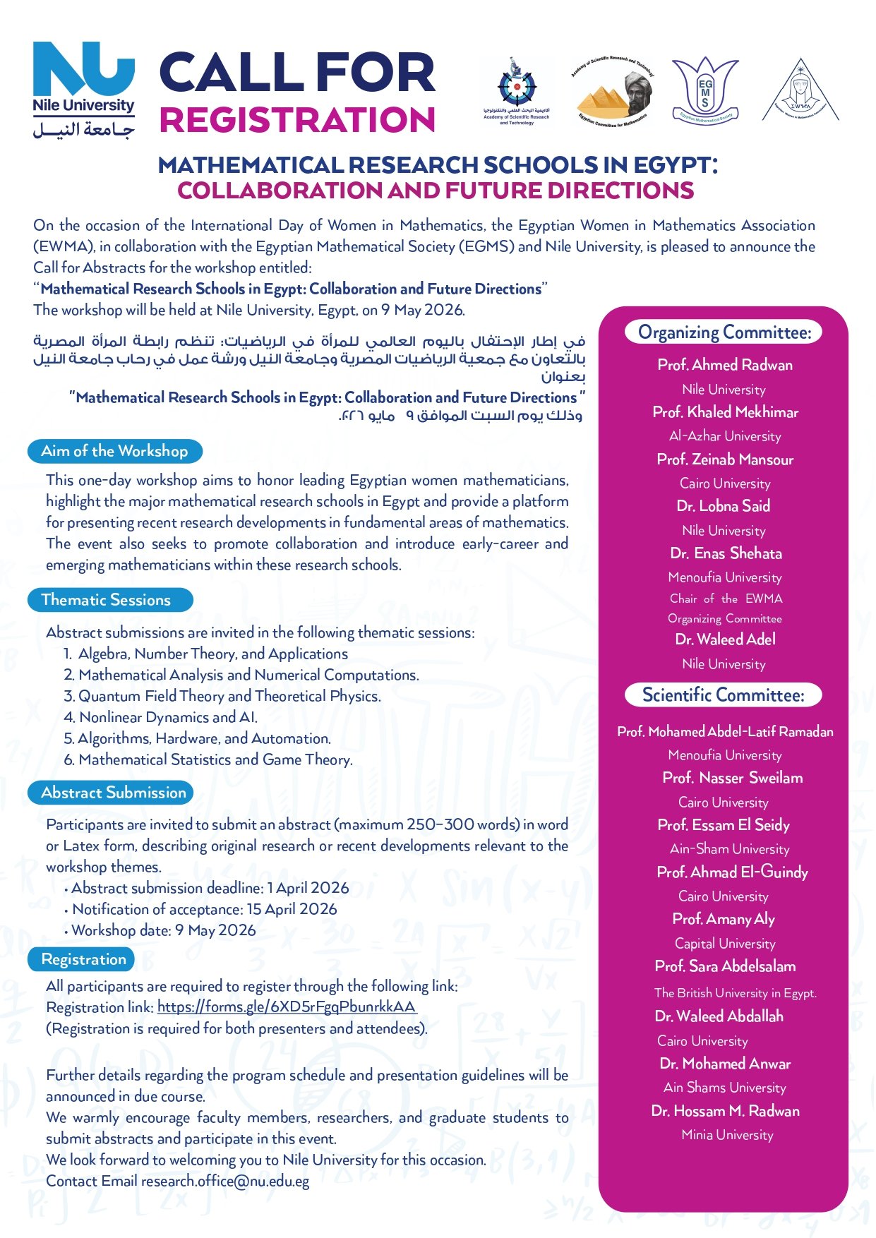 Mathematical Research Schools in Egypt: Collaboration and Future Directions